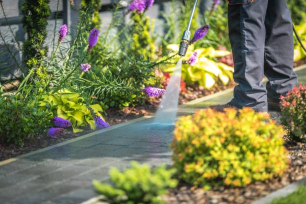Best Building Exterior Pressure Washing in Jackson Center, OH